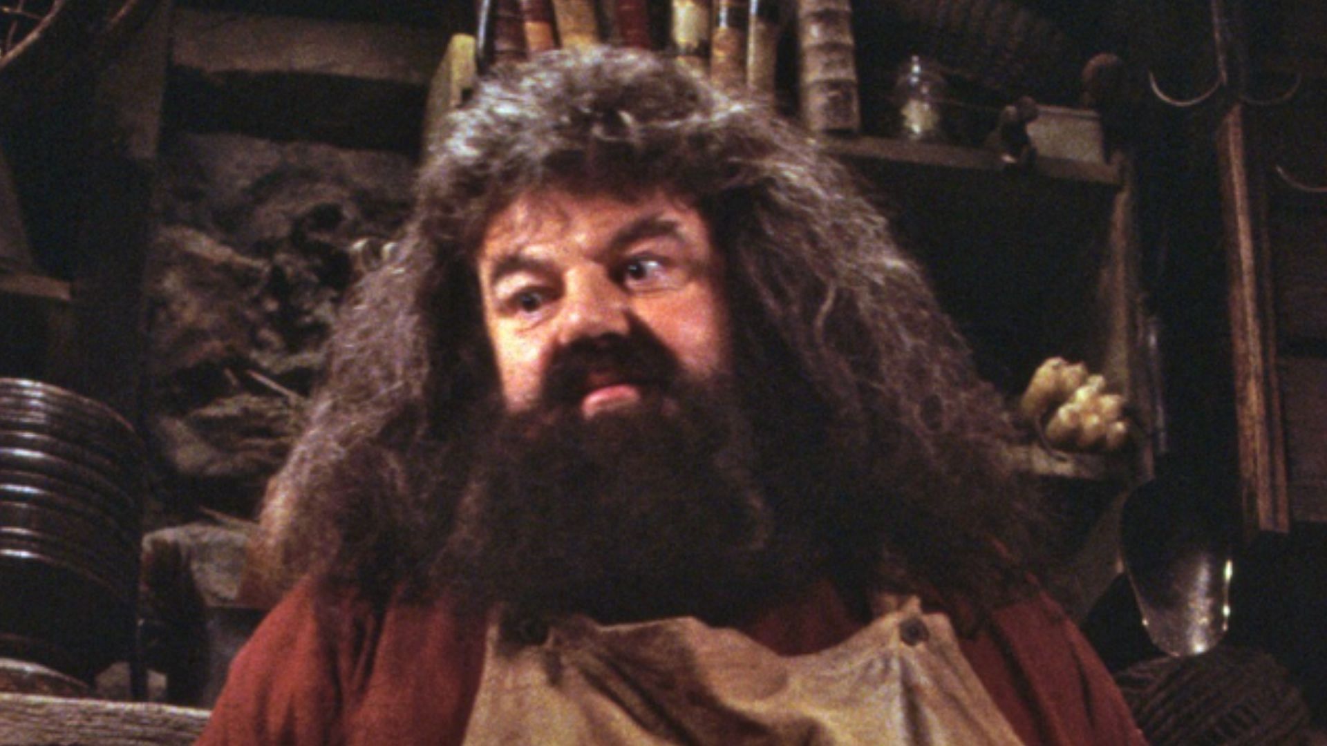 Rubeus Hagrid is Harry Potter's initial and best friend (Image via Instagram/@harrypotter)